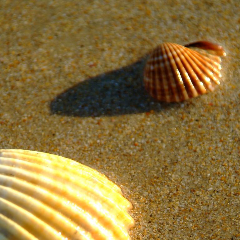 Hotel Casa Grande Zahara de los Atunes Zewnętrze zdjęcie